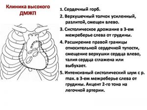 serdech100.jpg