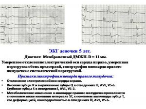serdech104.jpg