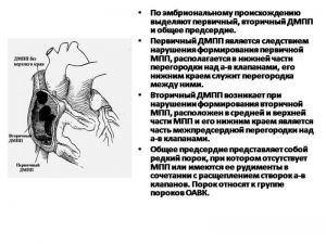 serdech112.jpg
