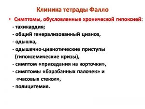 serdech165.jpg