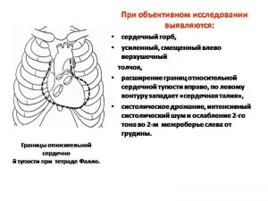 serdech169.jpg