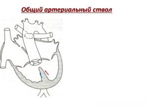 serdech203.jpg