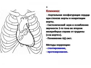 serdech205.jpg