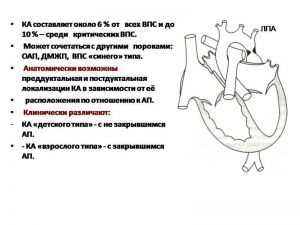 serdech212.jpg