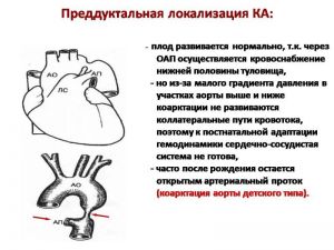 serdech213.jpg