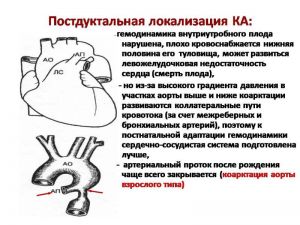 serdech214.jpg