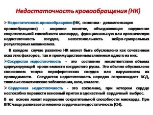serdech237.jpg