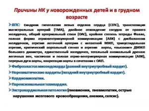 serdech239.jpg