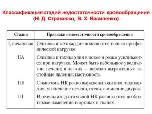 serdech246.jpg