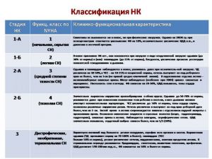 serdech247.jpg