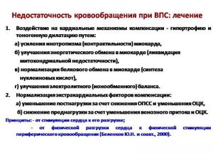 serdech248.jpg
