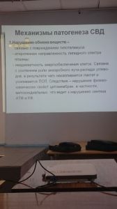 svdeti0030.jpg