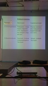 svdeti0037.jpg
