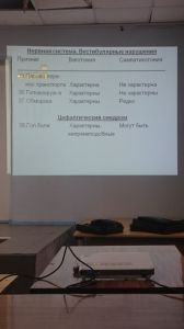 svdeti0045.jpg