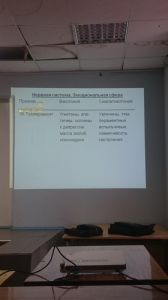 svdeti0047.jpg