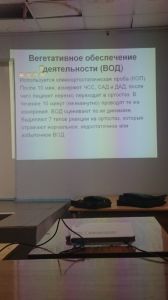 svdeti0061.jpg