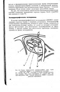 vrojdendet195-1.jpg