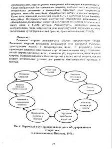 zabolevaniyanosa-22.jpg