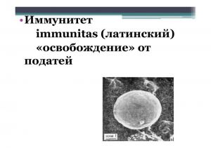 immun-003.jpg