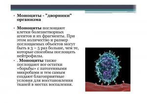 immun-029.jpg